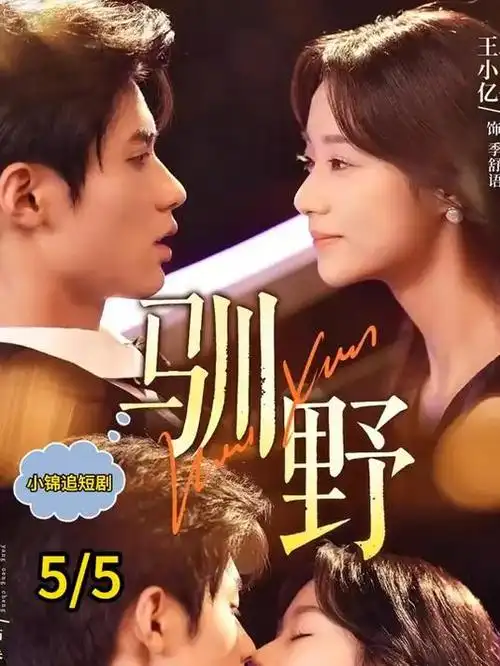 雪落无声东北悬疑剧全集免费在线观看